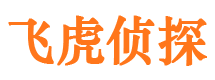 汝州私家调查公司